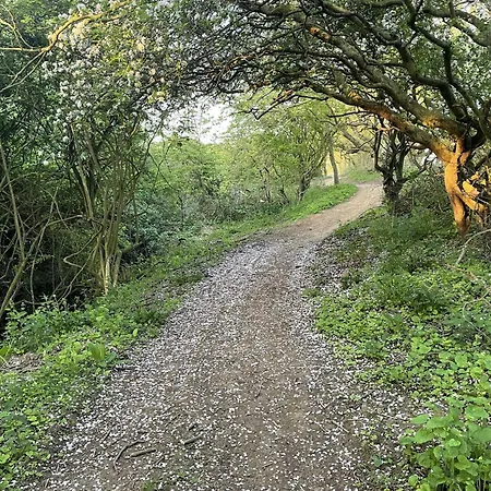 Merchants Quarters - Laguz & Othala - Two Stunning Apartments In One Booking - Both With Harbour And Sea Views - Free Roof Top Terrace With Sea And Harbour View And Central Location To Beaches Amenities Restaurants And Harbour Сasa de vacaciones Scarborough