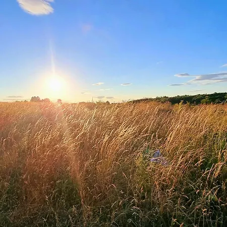 Merchants Quarters - Laguz & Othala - Two Stunning In One - Both With Harbour And Sea Views - Free Roof Terrace With Sea And Harbour View And Location To Beaches Amenities Restaurants And Harbour 別荘 スカーバラ
