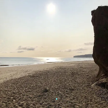 Merchants Quarters - Laguz & Othala - Two Stunning In One - Both With Harbour And Sea Views - Free Roof Terrace With Sea And Harbour View And Location To Beaches Amenities Restaurants And Harbour * スカーバラ