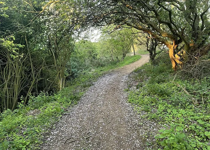 Merchants Quarters - Laguz & Othala - Two Stunning In One - Both With Harbour And Sea Views - Free Roof Terrace With Sea And Harbour View And Location To Beaches Amenities Restaurants And Harbour Semesterbostad Scarborough